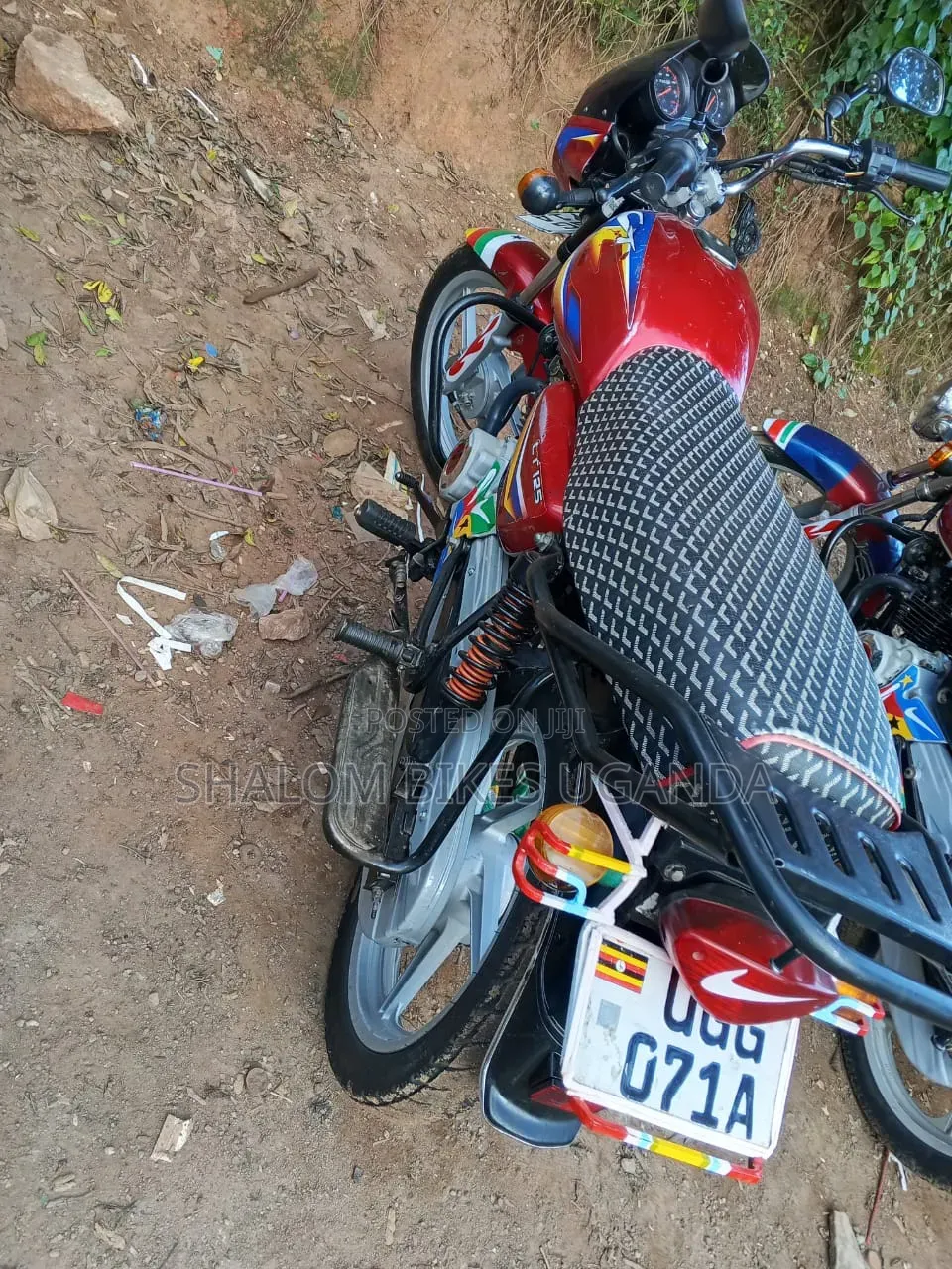 Bajaj CT 125X 2024 Red