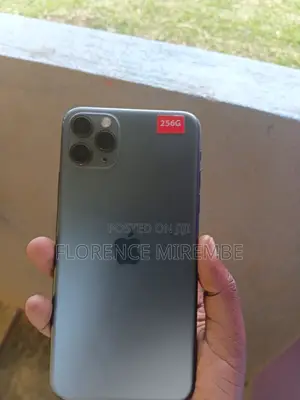 Apple iPhone 11 256 GB Gray