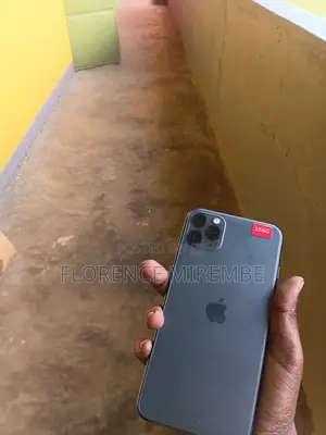 Apple iPhone 11 256 GB Gray