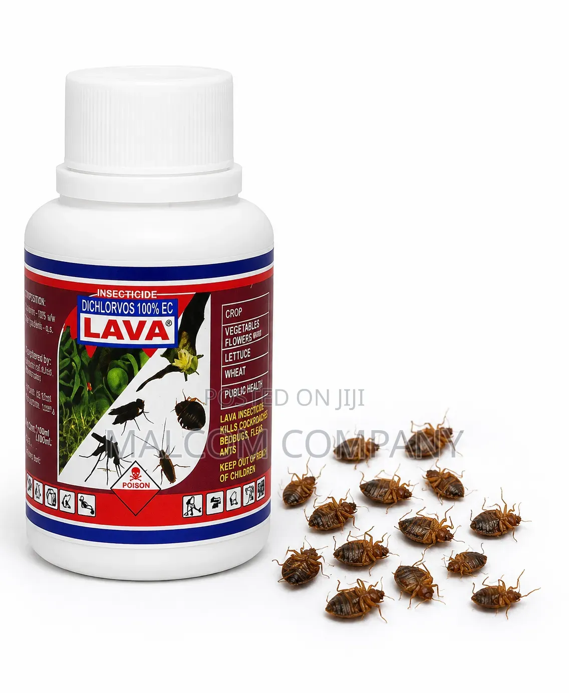 Bedbugs and Cockroaches Lava
