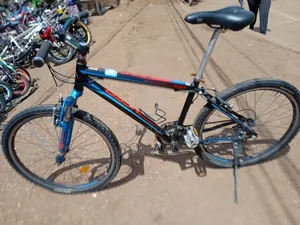 Stinger/ Lespo Brand Bike Size 26 Aluminium Flame