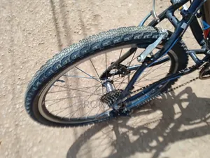 Stinger/ Lespo Brand Bike Size 26 Aluminium Flame