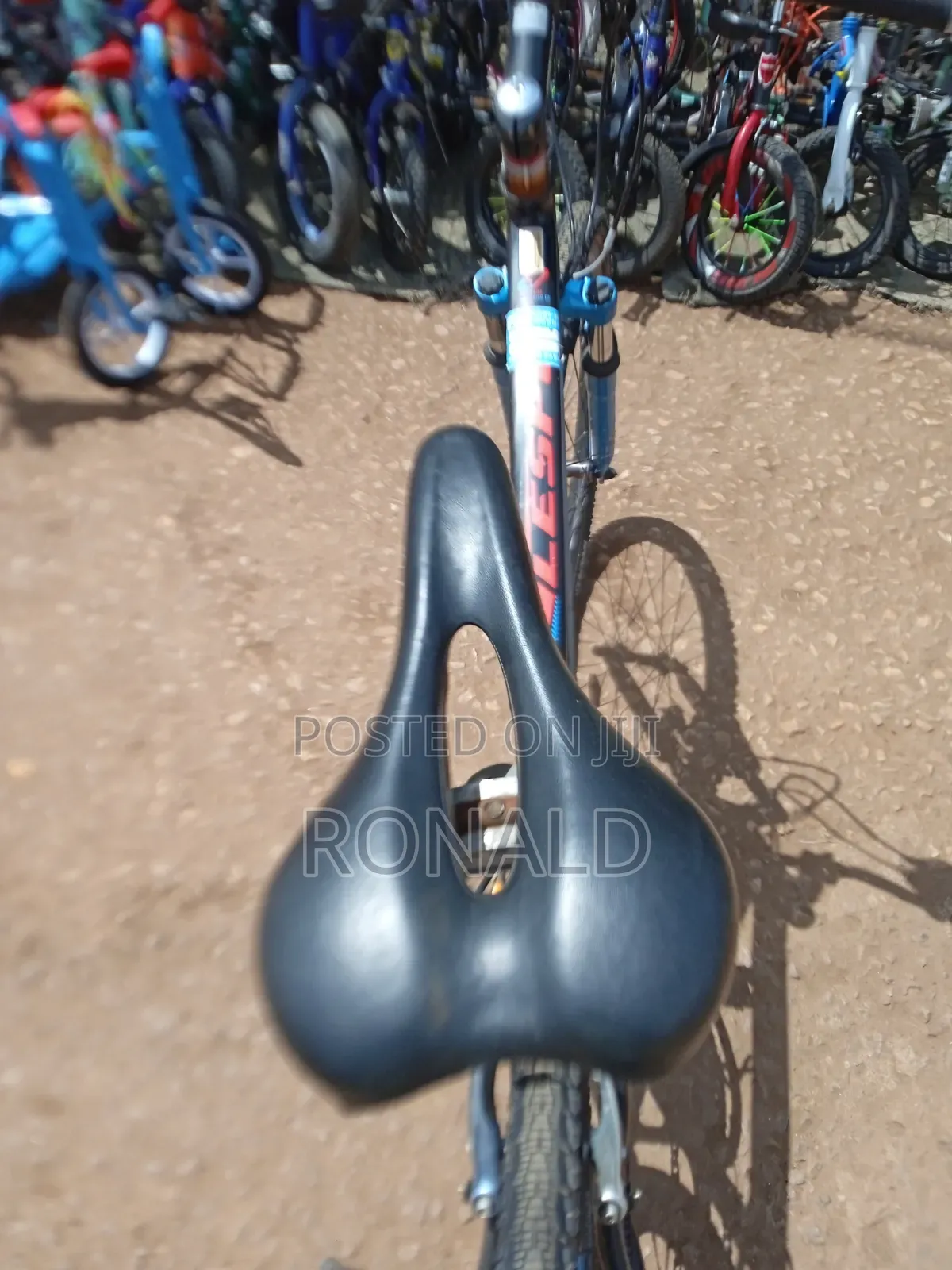 Stinger/ Lespo Brand Bike Size 26 Aluminium Flame