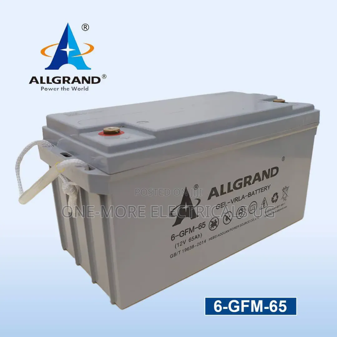 Healthy Battery 65ah/12volts