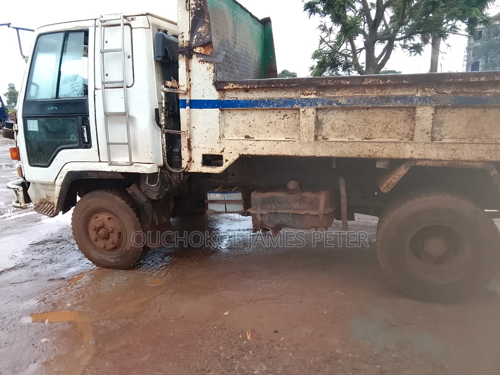 Isuzu Forward