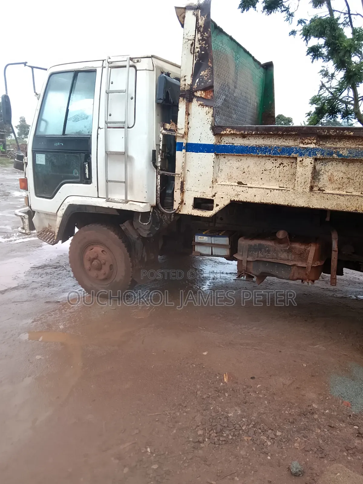 Isuzu Forward
