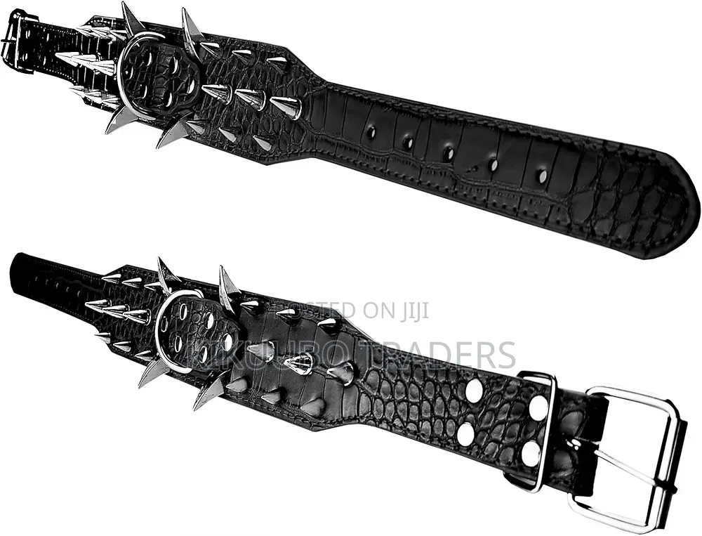 New Dog Spiked Collar