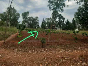 Titled Plot For Sale In Kavule Mwererwe