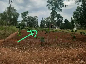 Titled Plot For Sale In Kavule Mwererwe