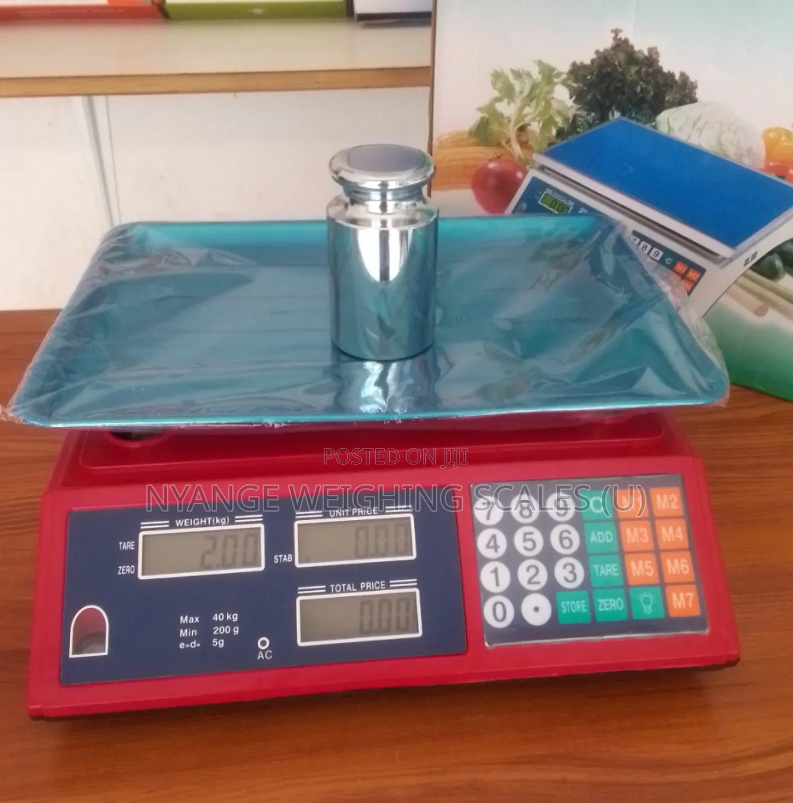 Pricing Weighing Scale 40kg Weigh Dual Display Digital Weighing Scale