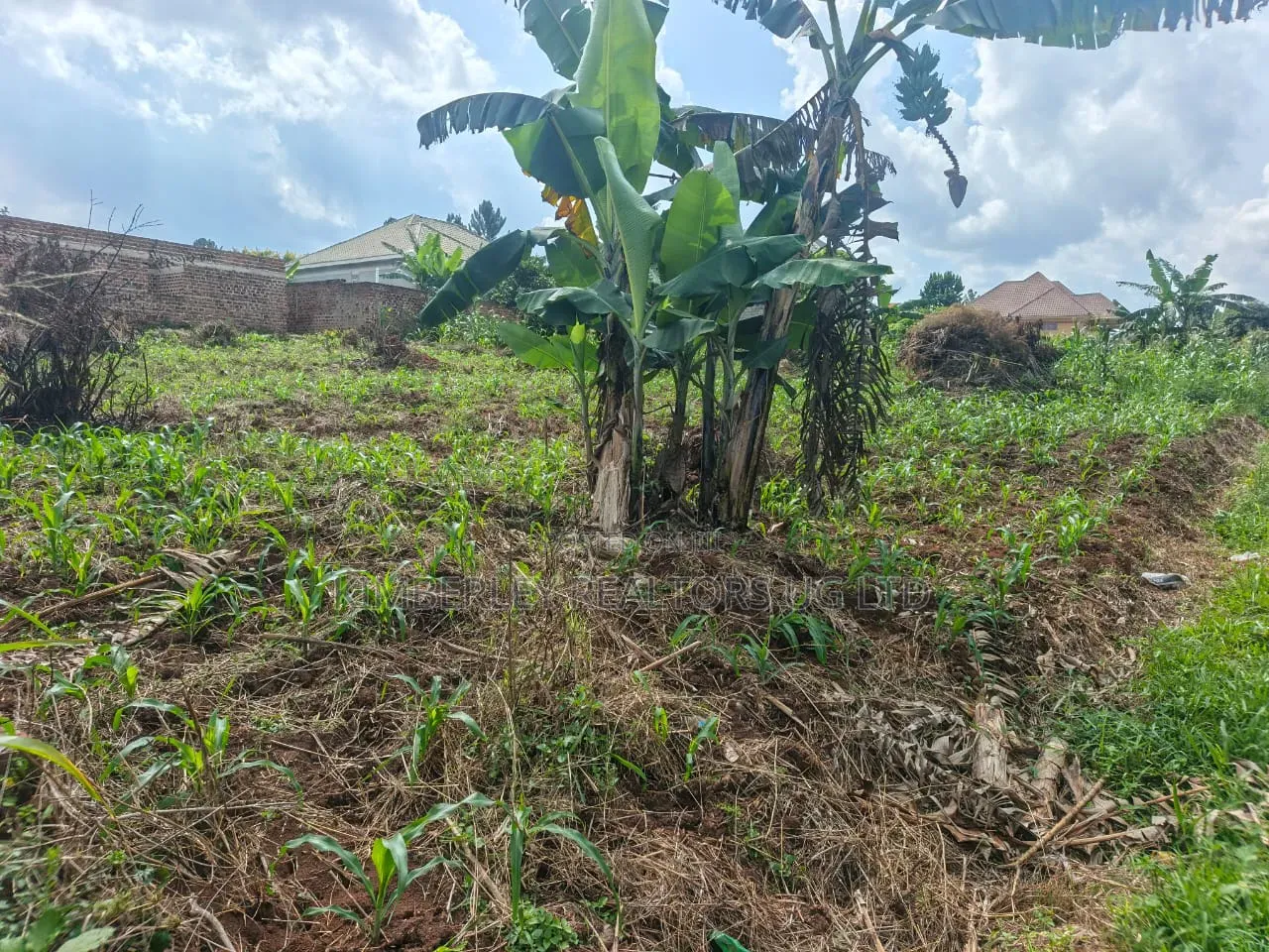1⁄2 Acre Land – Bwerenga Bugiri (Entebbe Road) at 250m