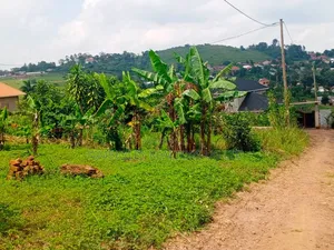 50×100 Plot – Bwerenga Bugiri (Entebbe Road) at 75m