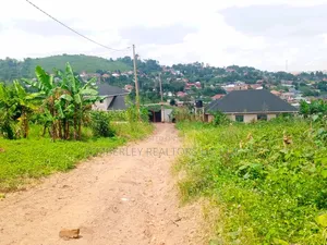 50×100 Plot – Bwerenga Bugiri (Entebbe Road) at 75m