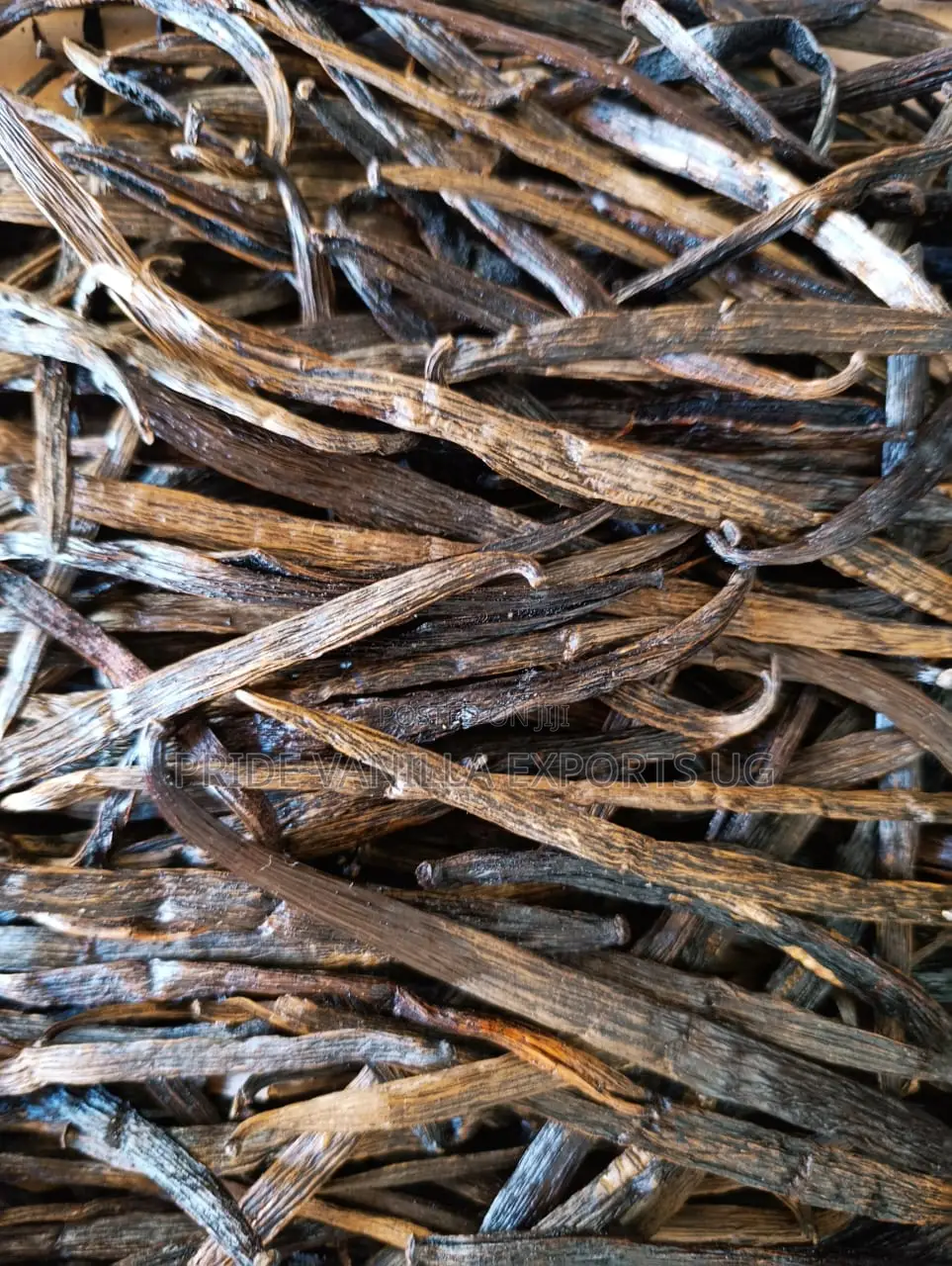 Vanilla Beans