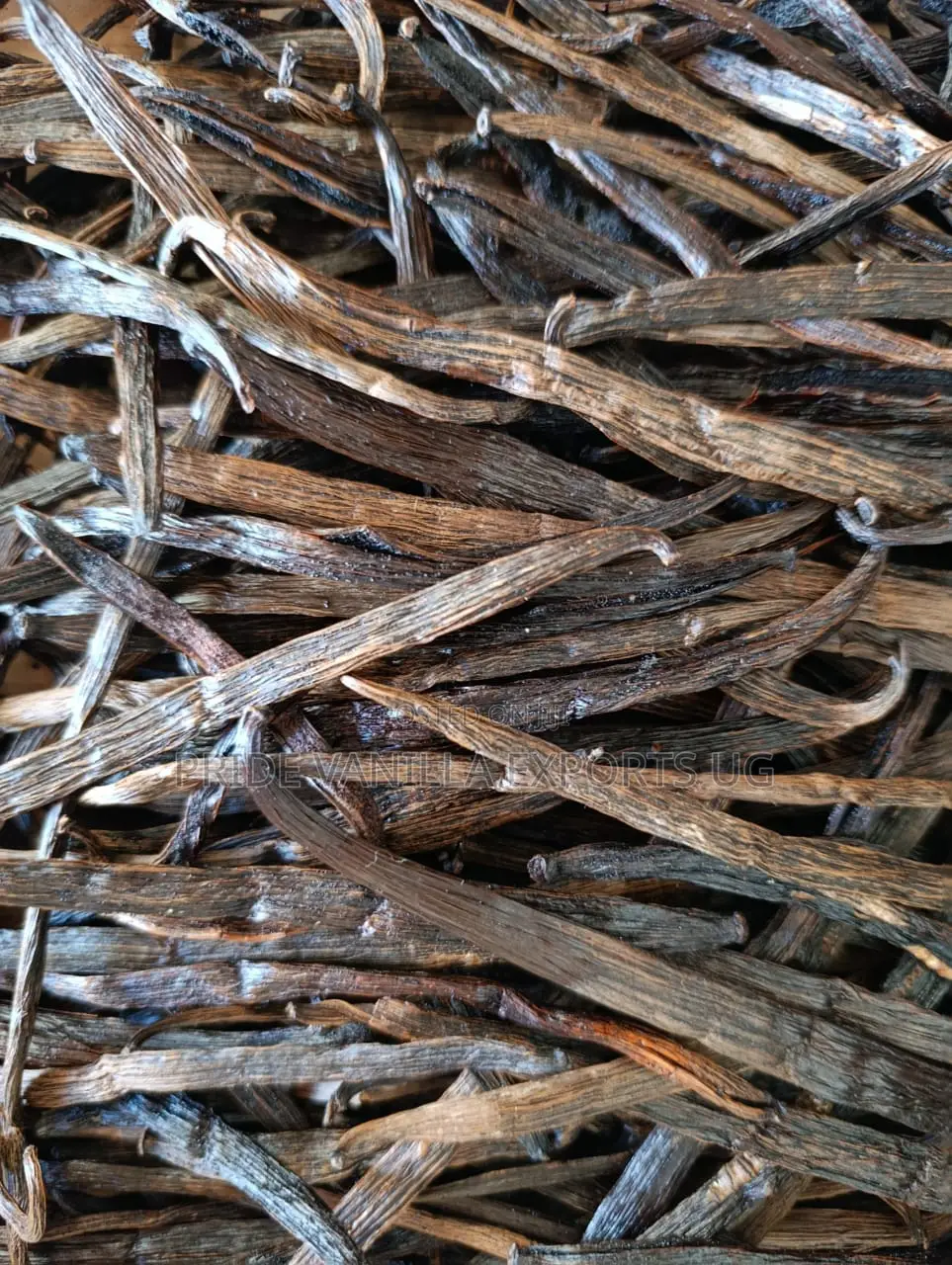 Vanilla Beans