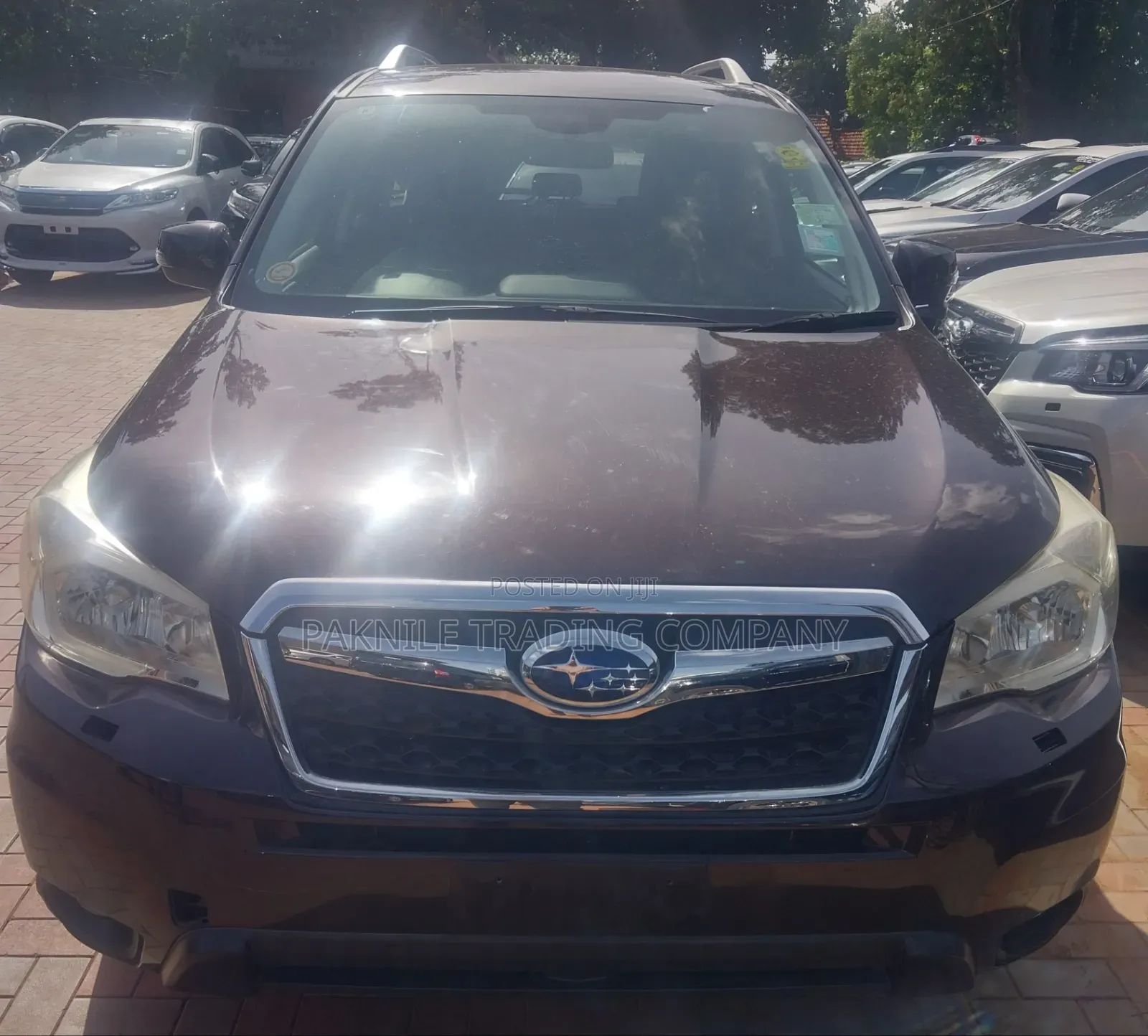 Subaru Forester 2.0XT Premium 4dr SUV AWD (2.0L 4cyl Turbo CVT) 2014 Black