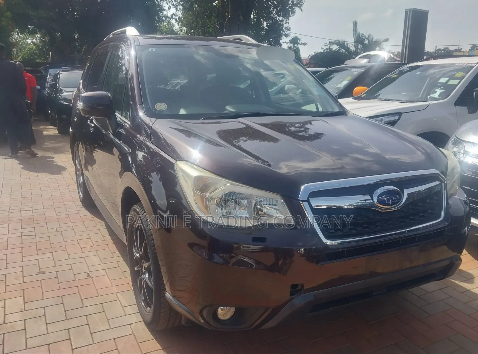 Subaru Forester 2.0XT Premium 4dr SUV AWD (2.0L 4cyl Turbo CVT) 2014 Black