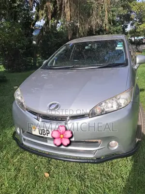 Toyota Wish 2010 Gray