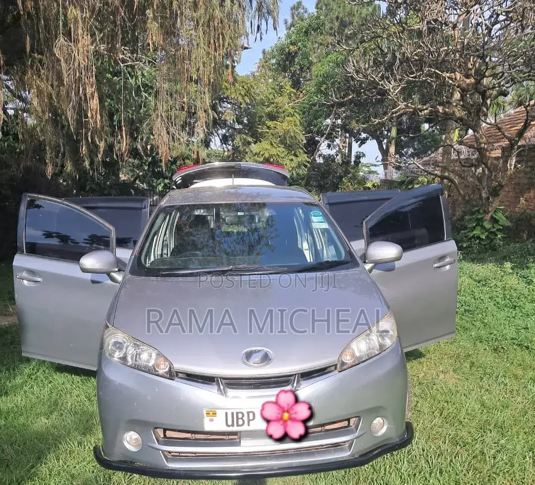 Toyota Wish 2010 Gray