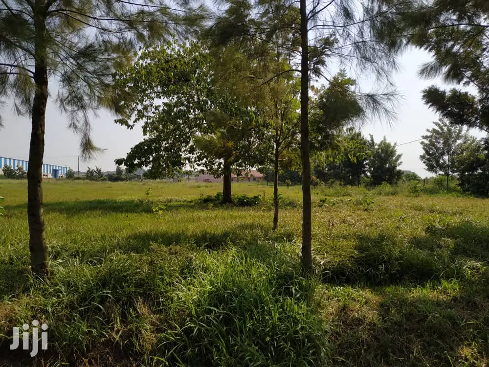 Industrial Land For Sale