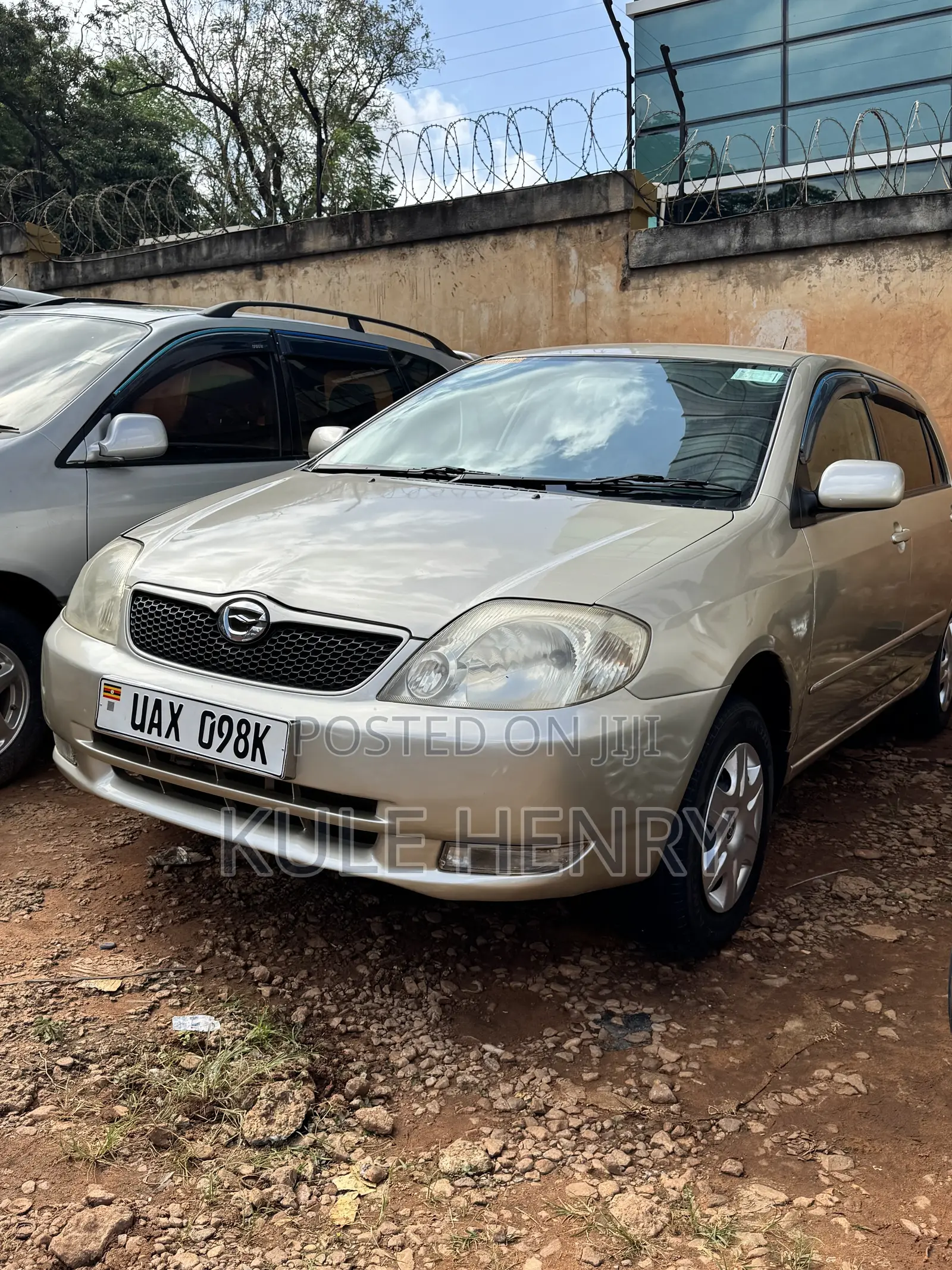 Toyota Allex 2003 Gold