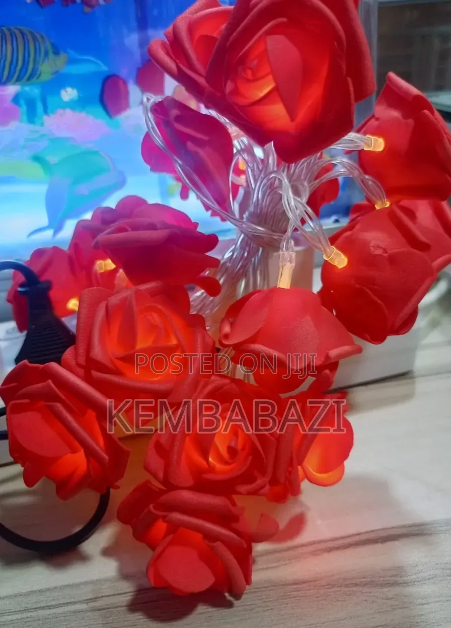 3metres Long Romantic Rose String Lights