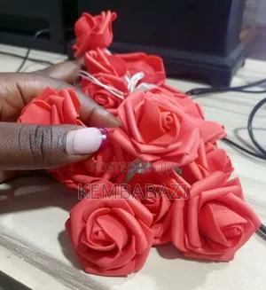 3metres Long Romantic Rose String Lights