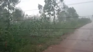 20 Acres for Sale in Wanfuufu, Luwero