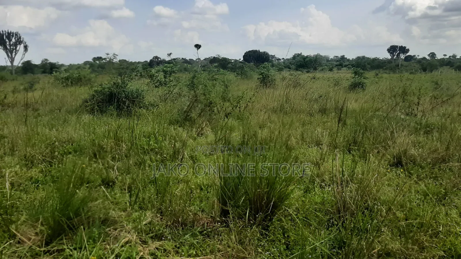 20 Acres for Sale in Wakyato, Nakaseke