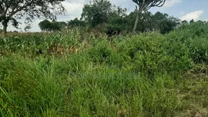 20 Acres for Sale in Wakyato, Nakaseke