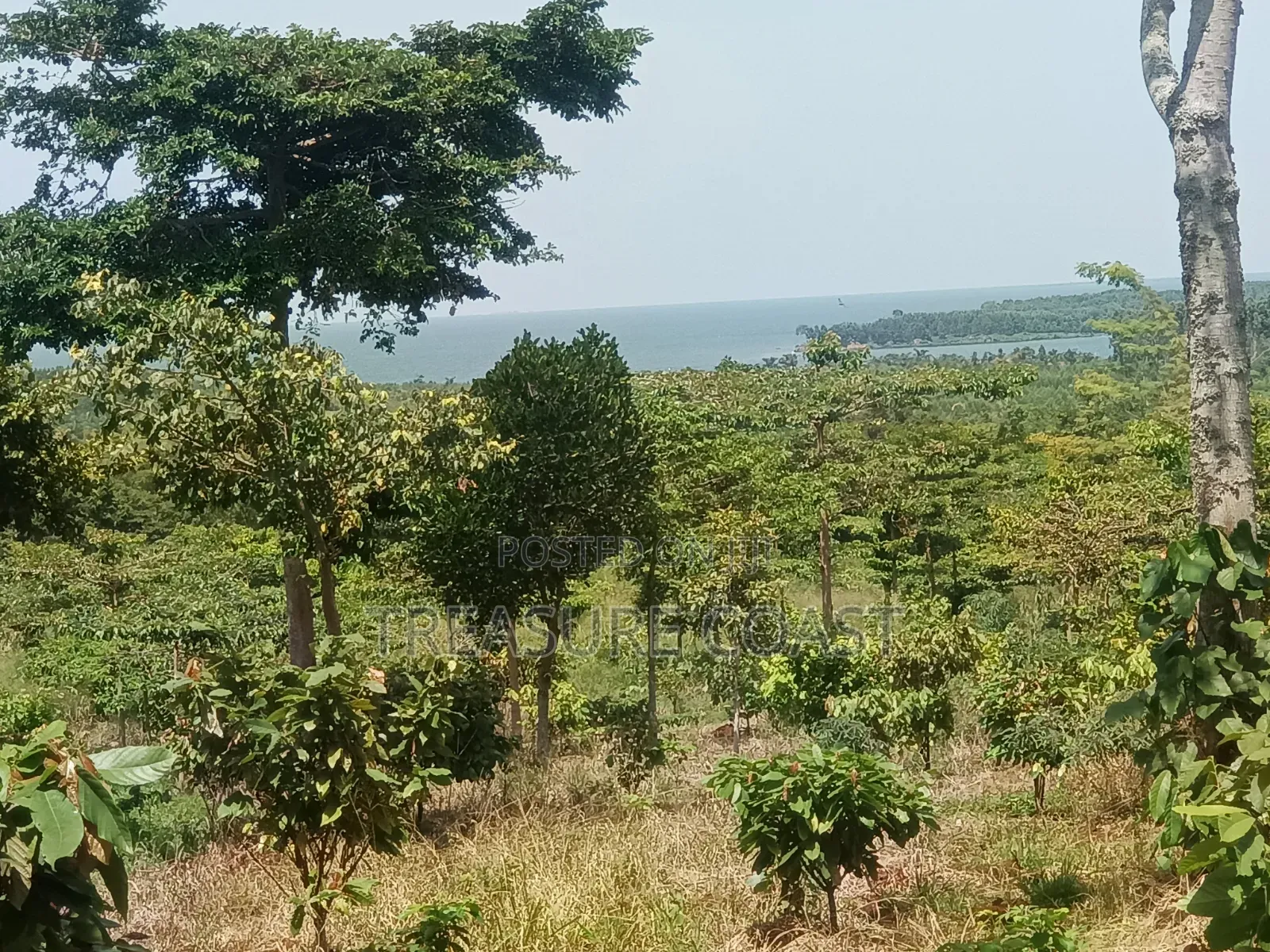 3 Acres of Lake View Land at Katosi