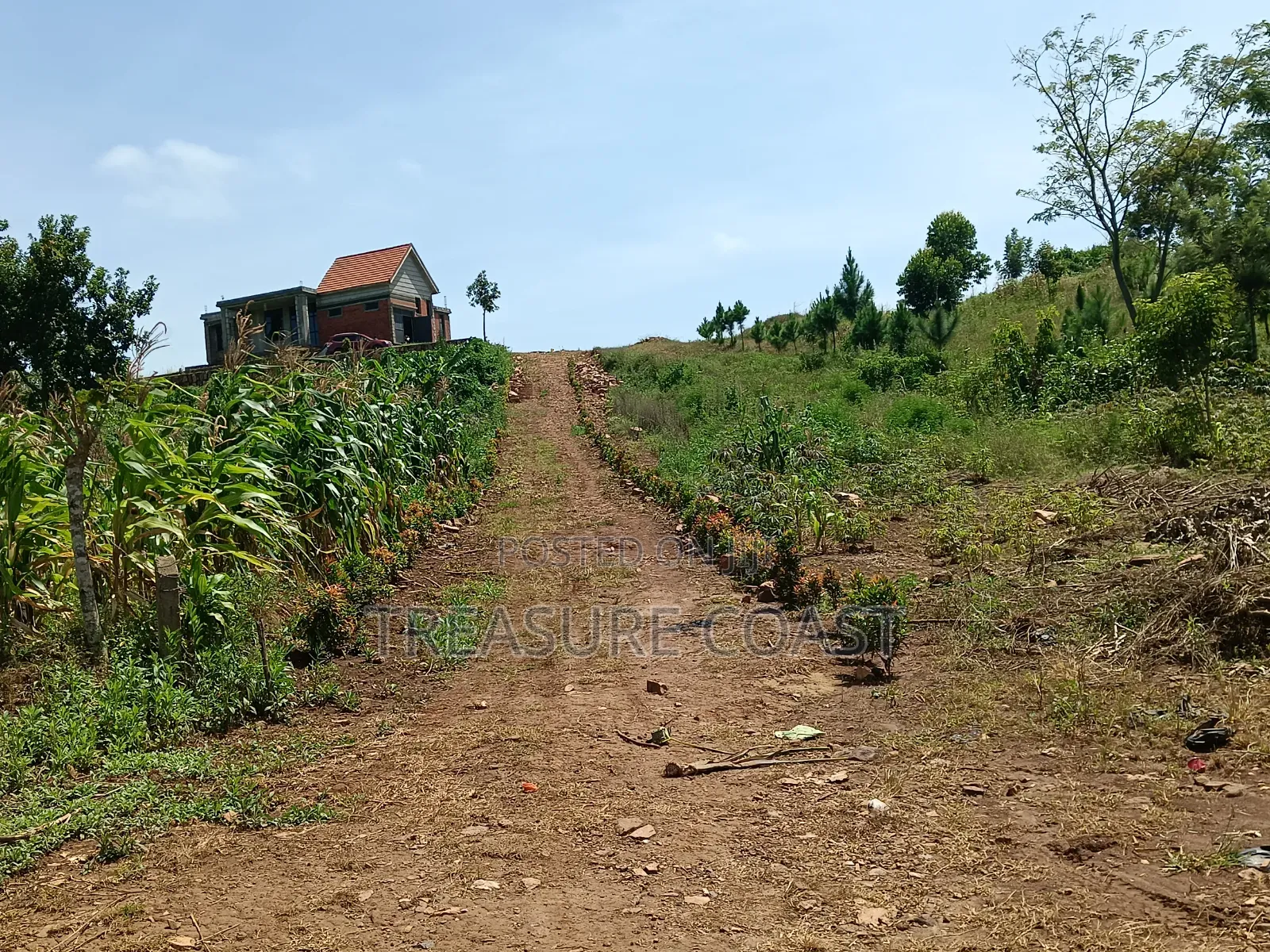 3 Acres of Lake View Land at Katosi