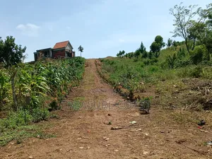 3 Acres of Lake View Land at Katosi