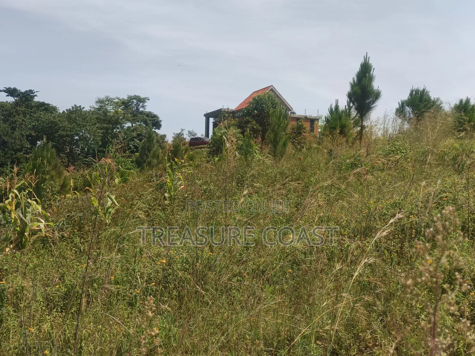 3 Acres of Lake View Land at Katosi