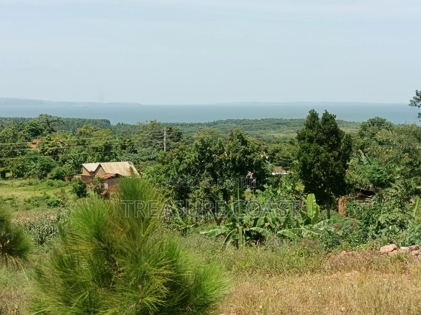 3 Acres of Lake View Land at Katosi