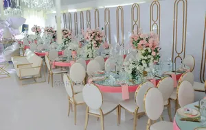 Pink Shades Gold White and Some Bit of Green Introduction