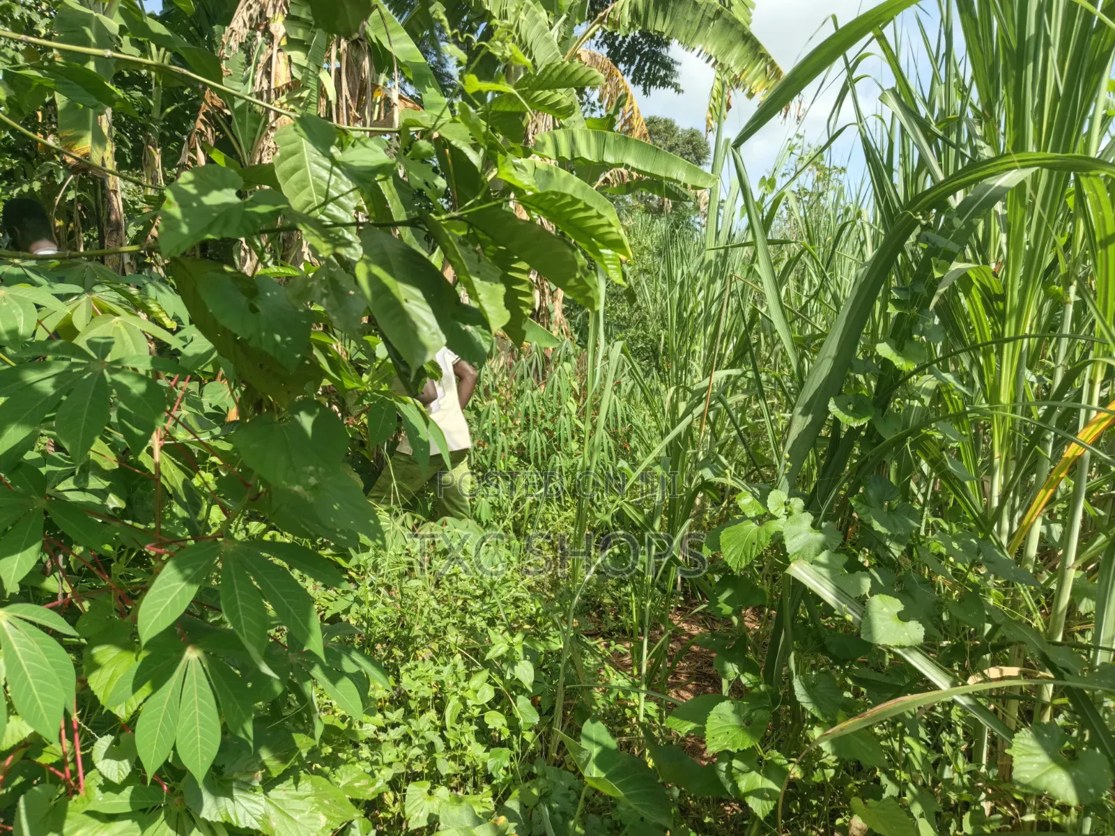 1acre Mixed Land Use for Sale