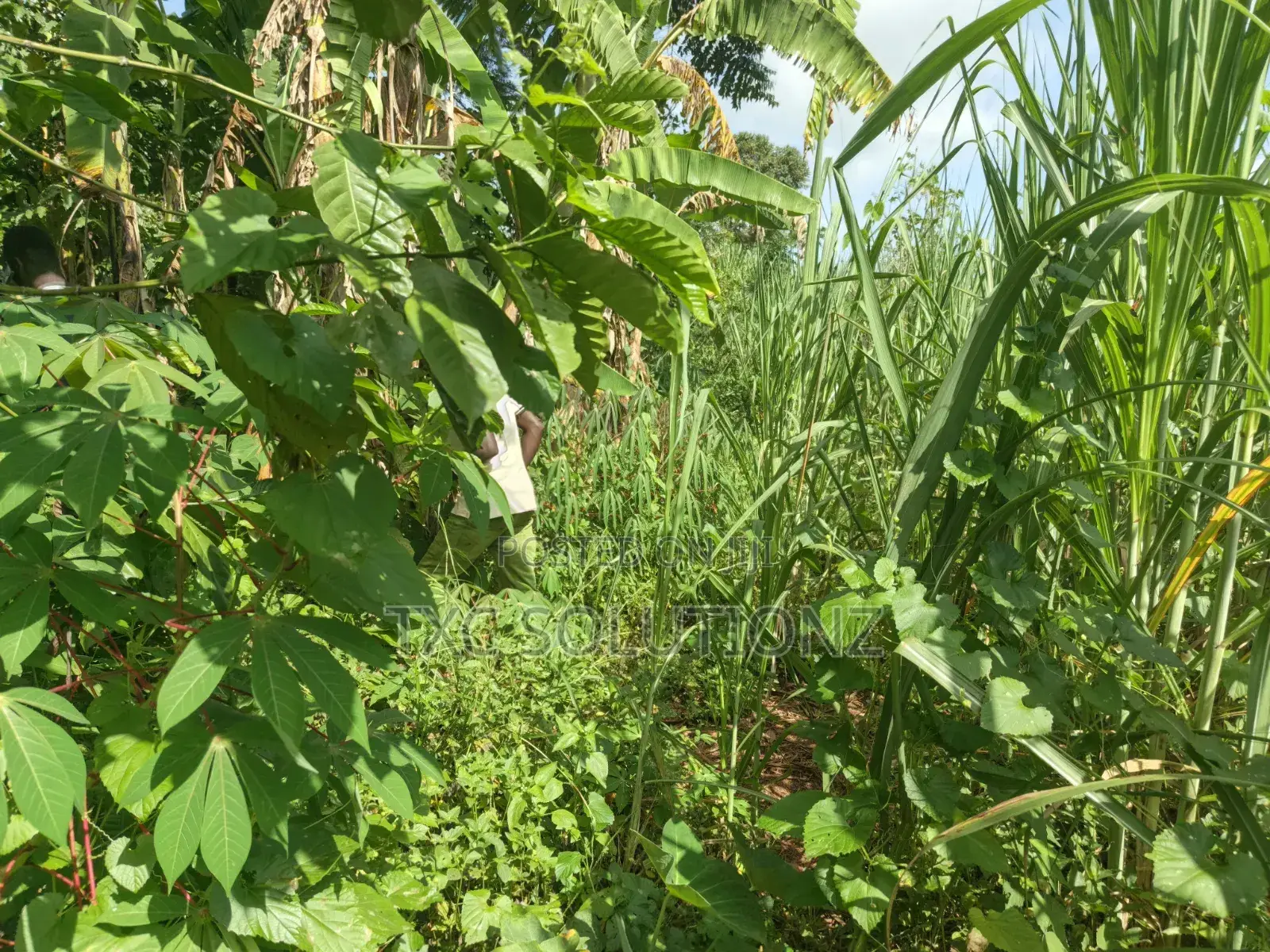 1acre Mixed Land Use for Sale Busede