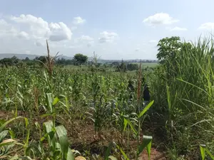 1acre Mixed Land Use for Sale Busede