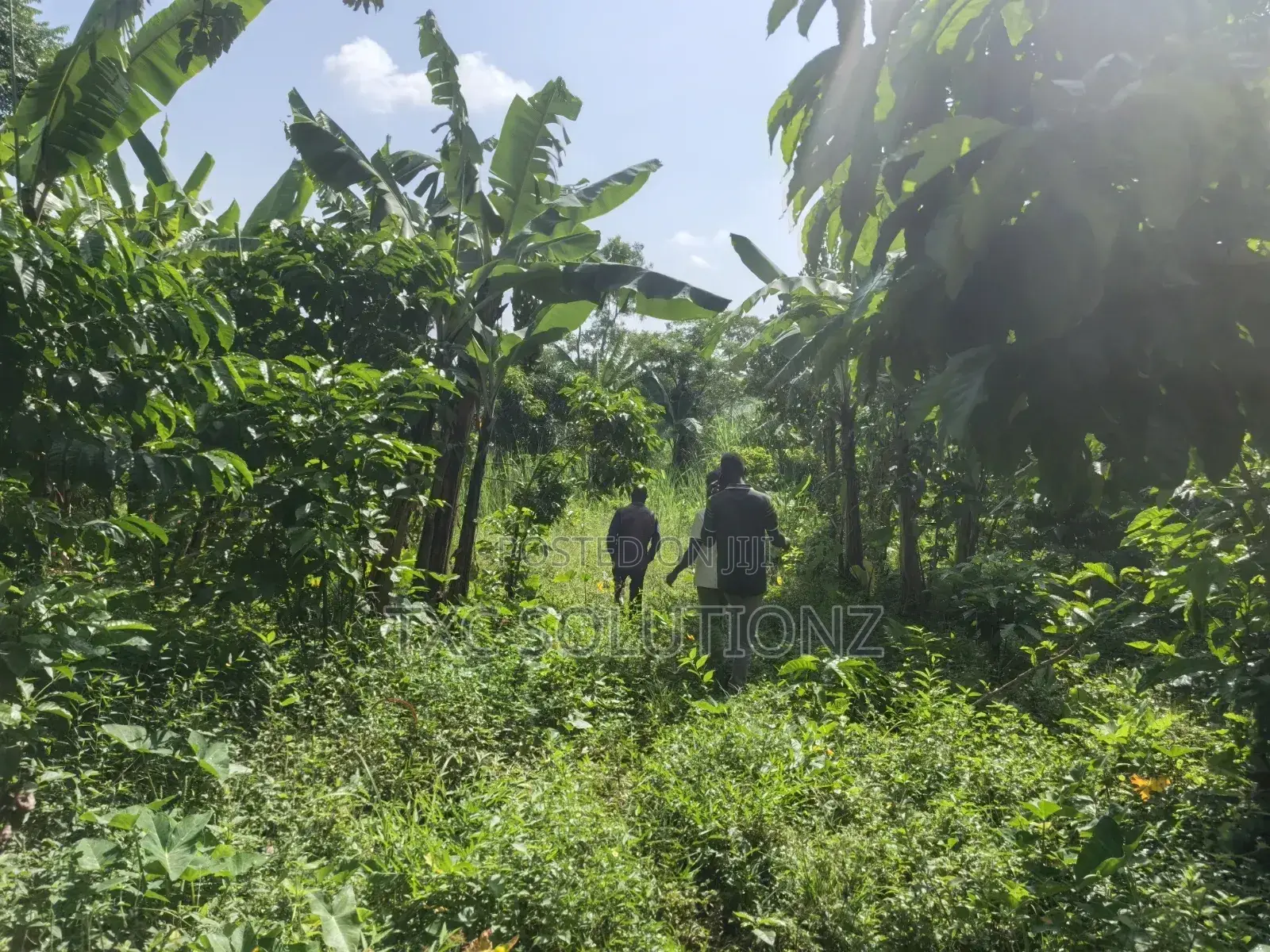 1acre Mixed Land Use for Sale Busede