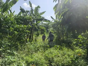 1acre Mixed Land Use for Sale