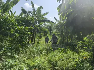 1acre Mixed Land Use for Sale Busede