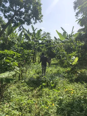 1acre Mixed Land Use for Sale