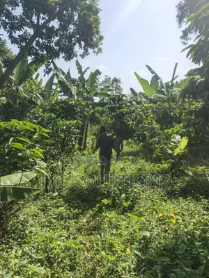 1acre Mixed Land Use for Sale Busede