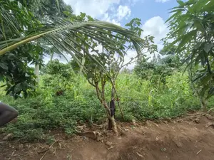 1acre Mixed Land Use for Sale Busede