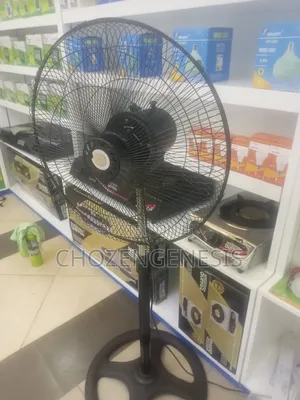 Wall and Stand Fan