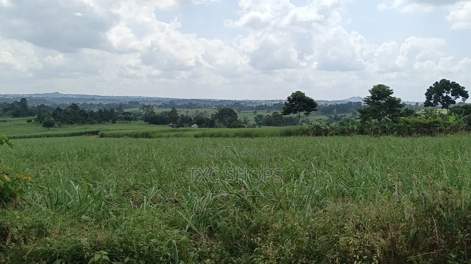 Plot for Sale Kagoma