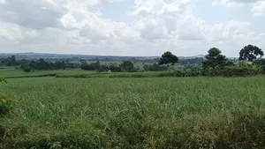 Plot for Sale Kagoma