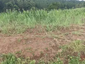 Plot for Sale Jinja-Kagoma on Kamuli Road