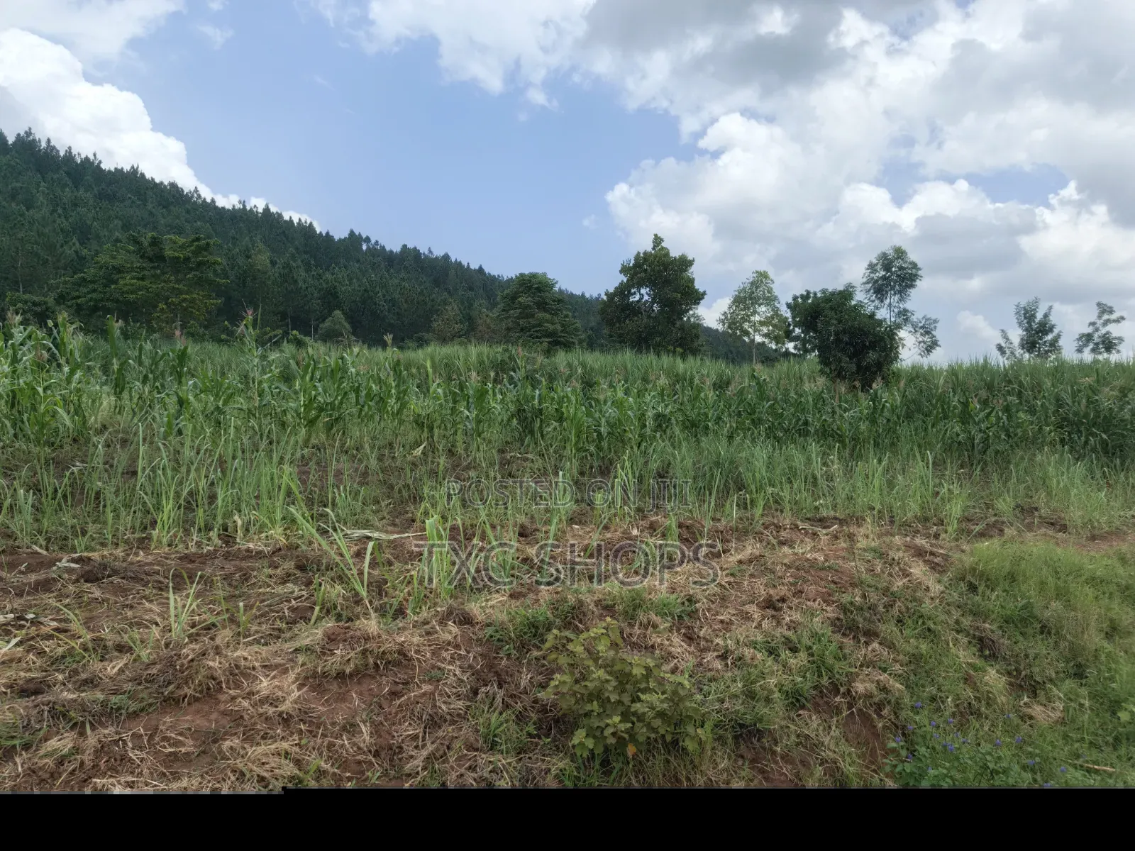 Plot for Sale Kagoma